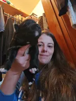 Puppy 2, a female German Shepherd Dog for sale in Hoagland, IN – 4 of 4