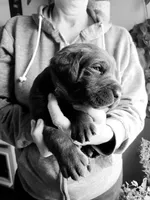 processed/9249a180-4682-4a81-8a4f-d2880784905a/facility/0a4b9ade-dff8-4355-8ca3-1b7bcd669412