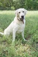 processed/9249a180-4682-4a81-8a4f-d2880784905a/facility/567be959-c68d-4745-a36c-745d3374a127