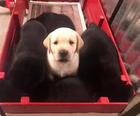 processed/9249a180-4682-4a81-8a4f-d2880784905a/facility/6c78316a-a957-4ed9-a1d8-58c296a84b53