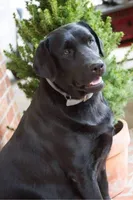 processed/9249a180-4682-4a81-8a4f-d2880784905a/facility/79e1ef51-9da1-4b66-8c98-9e3425daed61