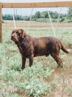 processed/9249a180-4682-4a81-8a4f-d2880784905a/facility/92d686b4-b46a-4e51-9be8-5f7f5e1abf0e