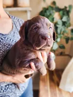 processed/9249a180-4682-4a81-8a4f-d2880784905a/facility/ef242bf2-3c26-4d55-97db-b7435a80ecd1