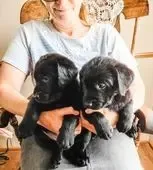 processed/9249a180-4682-4a81-8a4f-d2880784905a/facility/f00a6b55-0874-4bc4-bda2-9ecf0db87997