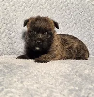 processed/924d86b9-d6ab-404f-8687-b265094a89be/listing/4e46ac64-d4c8-420e-a0fe-cdf1baba064e/01fe15dd-4cd6-4f5f-b345-8cf179f559f9