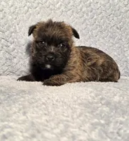 processed/924d86b9-d6ab-404f-8687-b265094a89be/listing/4e46ac64-d4c8-420e-a0fe-cdf1baba064e/1dc1857c-c981-408a-96c1-fb787038b709