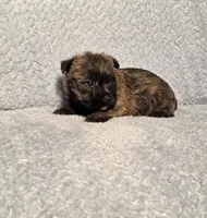 processed/924d86b9-d6ab-404f-8687-b265094a89be/listing/4e46ac64-d4c8-420e-a0fe-cdf1baba064e/40ff18ae-8eae-40b1-afa9-1a32fab3eefd