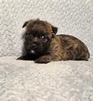 processed/924d86b9-d6ab-404f-8687-b265094a89be/listing/4e46ac64-d4c8-420e-a0fe-cdf1baba064e/74ce58d9-6217-4418-8afc-02cd71b6f288