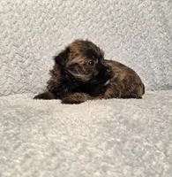 processed/924d86b9-d6ab-404f-8687-b265094a89be/listing/4e46ac64-d4c8-420e-a0fe-cdf1baba064e/98173df5-1e2e-4d72-9a7e-c5a1701278b7