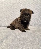 processed/924d86b9-d6ab-404f-8687-b265094a89be/listing/4e46ac64-d4c8-420e-a0fe-cdf1baba064e/d8791a62-ea12-4f6a-b8c9-e4fe2973482c