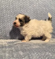 processed/924d86b9-d6ab-404f-8687-b265094a89be/listing/5beb3417-6da7-4805-a3a7-9dc42c541fe4/30ae14a4-c6a0-47a4-bc71-c1e6c72decf4