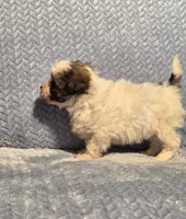 processed/924d86b9-d6ab-404f-8687-b265094a89be/listing/5beb3417-6da7-4805-a3a7-9dc42c541fe4/4fa6b20c-080d-4ae4-9472-d8c6f966fef2