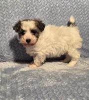 processed/924d86b9-d6ab-404f-8687-b265094a89be/listing/5beb3417-6da7-4805-a3a7-9dc42c541fe4/8fe0ef25-e28d-4737-b05f-8f9c84805dea