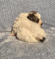 processed/924d86b9-d6ab-404f-8687-b265094a89be/listing/5beb3417-6da7-4805-a3a7-9dc42c541fe4/9350b03c-a53f-497f-a851-fbfe60507d94