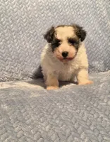 processed/924d86b9-d6ab-404f-8687-b265094a89be/listing/5beb3417-6da7-4805-a3a7-9dc42c541fe4/939a0839-0772-4983-b756-079e29616071