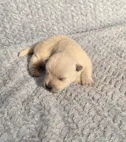 processed/924d86b9-d6ab-404f-8687-b265094a89be/listing/c2e0a9b3-1e5e-46e8-8200-f79d20b062b9/5b47b0d5-0129-4027-b397-6bcfd39fd330