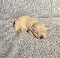 processed/924d86b9-d6ab-404f-8687-b265094a89be/listing/c2e0a9b3-1e5e-46e8-8200-f79d20b062b9/dd9157de-e2a8-4dc0-92c8-52bb25ad42e2