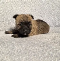 processed/924d86b9-d6ab-404f-8687-b265094a89be/listing/d2d163c3-841c-4b4e-aab0-62508c45b8d1/5b4f0a5c-1921-45ed-9f2c-90ad5881a7c1