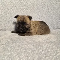 processed/924d86b9-d6ab-404f-8687-b265094a89be/listing/d2d163c3-841c-4b4e-aab0-62508c45b8d1/84794c7f-9095-4d5b-af92-f08a5459efc0