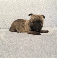 processed/924d86b9-d6ab-404f-8687-b265094a89be/listing/d2d163c3-841c-4b4e-aab0-62508c45b8d1/87cc6431-0d2a-4c48-a0ca-7dd41ddf7d7b