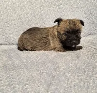 processed/924d86b9-d6ab-404f-8687-b265094a89be/listing/d2d163c3-841c-4b4e-aab0-62508c45b8d1/8ea61605-8945-4a88-864b-ba3b18d41221