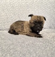 processed/924d86b9-d6ab-404f-8687-b265094a89be/listing/d2d163c3-841c-4b4e-aab0-62508c45b8d1/9706c5c3-a493-4ce3-a9bb-b4cf601fdc26