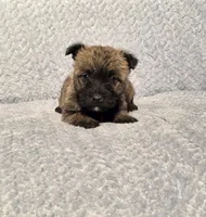 processed/924d86b9-d6ab-404f-8687-b265094a89be/listing/d2d163c3-841c-4b4e-aab0-62508c45b8d1/cb0ca087-982e-48fa-9ef9-54d175bf357b