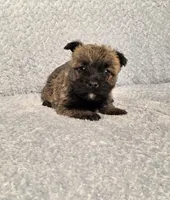 processed/924d86b9-d6ab-404f-8687-b265094a89be/listing/d2d163c3-841c-4b4e-aab0-62508c45b8d1/f12b1057-960f-44a5-89ac-480f5c685b99