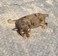 processed/924d86b9-d6ab-404f-8687-b265094a89be/listing/d513871d-59cd-4bf5-922b-b46a447495a0/0688550e-bfd1-46e9-aeea-d5614af3b0f9