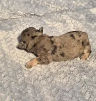 processed/924d86b9-d6ab-404f-8687-b265094a89be/listing/d513871d-59cd-4bf5-922b-b46a447495a0/69c51a3d-af9f-465c-8a54-67213bcb5ec5