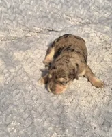 processed/924d86b9-d6ab-404f-8687-b265094a89be/listing/d513871d-59cd-4bf5-922b-b46a447495a0/8927da47-7a47-4978-8744-6967232ec461