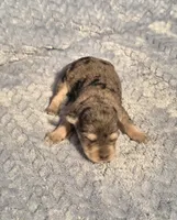 processed/924d86b9-d6ab-404f-8687-b265094a89be/listing/d513871d-59cd-4bf5-922b-b46a447495a0/b483e6ab-609d-4a81-848c-a8f2c8bec62c