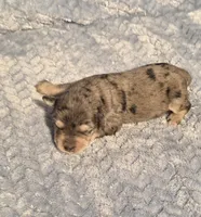 processed/924d86b9-d6ab-404f-8687-b265094a89be/listing/d513871d-59cd-4bf5-922b-b46a447495a0/c435b96f-8290-4398-b5f3-a0283546b382