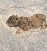 processed/924d86b9-d6ab-404f-8687-b265094a89be/listing/d513871d-59cd-4bf5-922b-b46a447495a0/dc913f8a-a36f-447d-9cf0-3ec492081cea