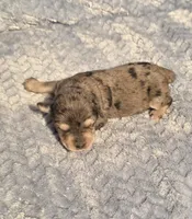 processed/924d86b9-d6ab-404f-8687-b265094a89be/listing/d513871d-59cd-4bf5-922b-b46a447495a0/e4249f88-0dc5-4af1-b4ea-ab9ed6f9131b