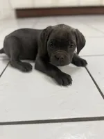 processed/9250a5b0-b4c9-4e5d-9419-e16d6f4e2ae4/listing/09ceb0ae-8900-4bdc-8fd7-d3feea2afacd/0f789421-c2e4-47ff-acea-6b9ce85de844