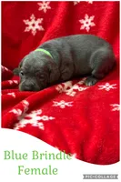 processed/9250a5b0-b4c9-4e5d-9419-e16d6f4e2ae4/listing/09ceb0ae-8900-4bdc-8fd7-d3feea2afacd/31fcdd69-61d4-4dea-ac88-6c2c8508bc08