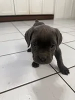 processed/9250a5b0-b4c9-4e5d-9419-e16d6f4e2ae4/listing/09ceb0ae-8900-4bdc-8fd7-d3feea2afacd/834c19eb-1e43-436e-a3ff-f5a5c7115145