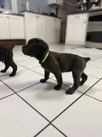 processed/9250a5b0-b4c9-4e5d-9419-e16d6f4e2ae4/listing/09ceb0ae-8900-4bdc-8fd7-d3feea2afacd/8bf79ff6-5b11-49fd-a3ef-5badebf09a78