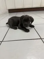 processed/9250a5b0-b4c9-4e5d-9419-e16d6f4e2ae4/listing/09ceb0ae-8900-4bdc-8fd7-d3feea2afacd/be01501e-474a-449b-9e3c-6ec3e480f26f