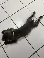 processed/9250a5b0-b4c9-4e5d-9419-e16d6f4e2ae4/listing/09ceb0ae-8900-4bdc-8fd7-d3feea2afacd/be27b9fb-a1a3-4f3d-9d2f-023b729deddb