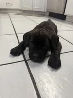 processed/9250a5b0-b4c9-4e5d-9419-e16d6f4e2ae4/listing/b8f7470d-10cf-4066-83b2-005b8acb2f7f/28678025-bc23-45ca-8771-2c4a5db5bb3c