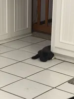 processed/9250a5b0-b4c9-4e5d-9419-e16d6f4e2ae4/listing/b8f7470d-10cf-4066-83b2-005b8acb2f7f/453226d1-d54e-4d42-adb0-9e2157aaf088