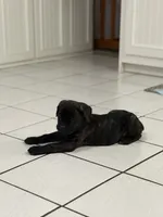 processed/9250a5b0-b4c9-4e5d-9419-e16d6f4e2ae4/listing/b8f7470d-10cf-4066-83b2-005b8acb2f7f/6087785c-4256-40cd-b5f2-378b11ac4d52