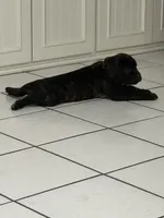 processed/9250a5b0-b4c9-4e5d-9419-e16d6f4e2ae4/listing/b8f7470d-10cf-4066-83b2-005b8acb2f7f/8011021c-ca1d-4c9f-a697-755f52cc7c36