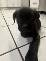 processed/9250a5b0-b4c9-4e5d-9419-e16d6f4e2ae4/listing/b8f7470d-10cf-4066-83b2-005b8acb2f7f/f97709a5-6fe0-473d-bed1-eb09442b7aad