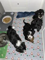 processed/92600151-322e-4fa7-b0fd-67c0f186de64/facility/6fee6952-568b-407d-85a1-a19b7891a5b6