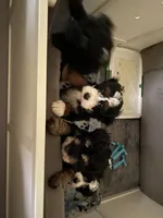 processed/92600151-322e-4fa7-b0fd-67c0f186de64/facility/8ec49d69-97cf-4393-aa96-0249081262e5