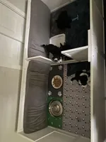 processed/92600151-322e-4fa7-b0fd-67c0f186de64/facility/bb45974c-b032-40ca-9edb-5c5db9e5c398