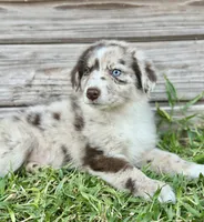 processed/92660e37-2fea-45c2-9ba3-aa4d4a595a8a/listing/8027f19f-2499-4491-95fe-6bcfa405c4af/fb92b22f-e33f-42da-ba33-e5deec905496